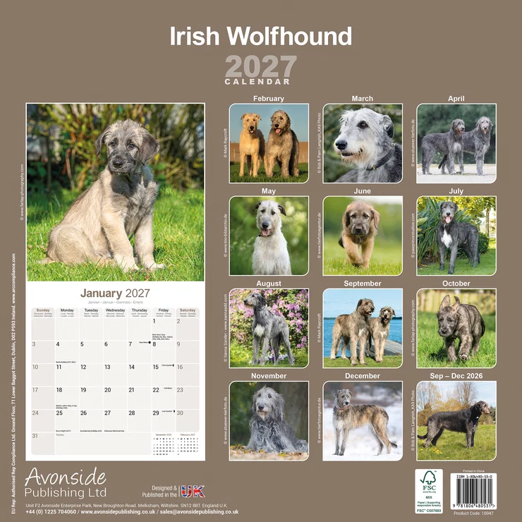 Kalender 2027 Irischer Wolfshund - Irish Wolfhound