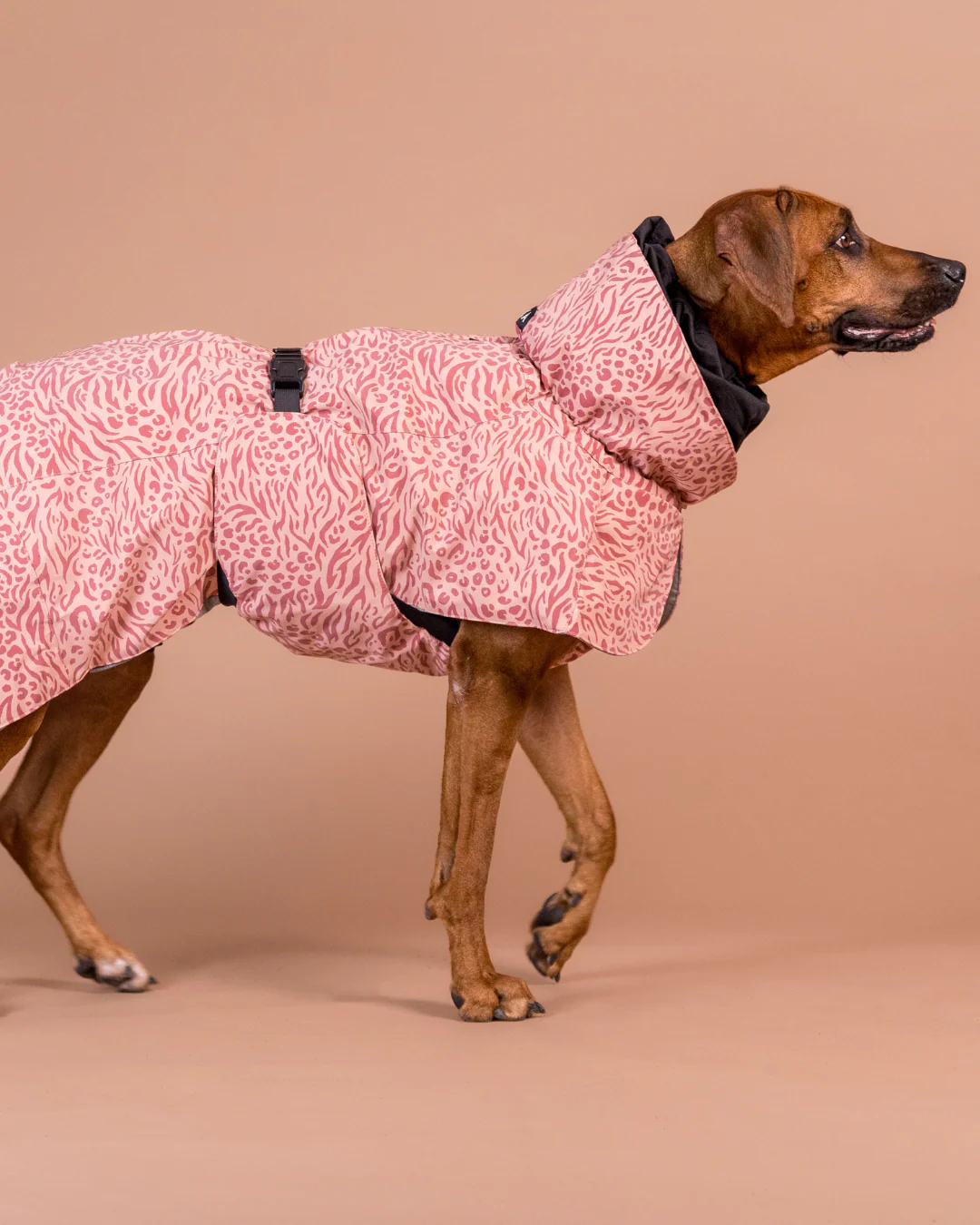 Paikka Winterjacke Visibility - rosa