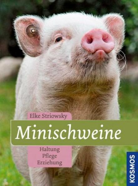 Minischweine im Kosmos Verlag