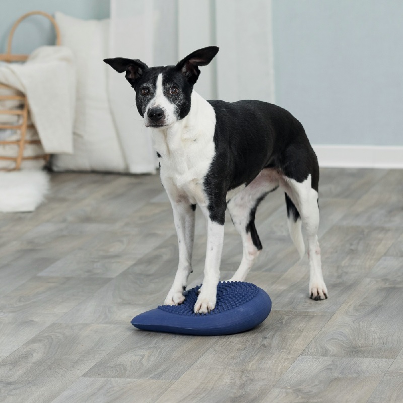 Balance air cushion for dogs