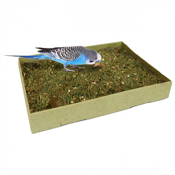 JR Pick-Wiese 600g