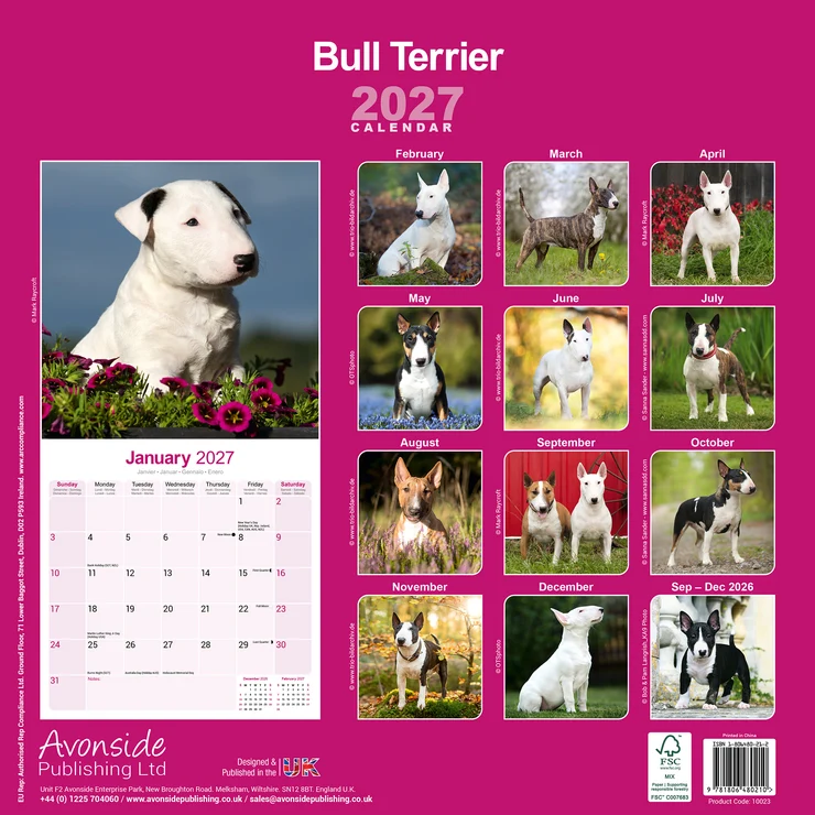 Calendrier 2026 Bull Terrier - Bull Terrier
