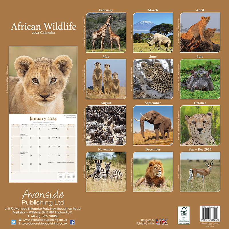 Kalender 2024 African Wildlife - Afrikanische Tiere