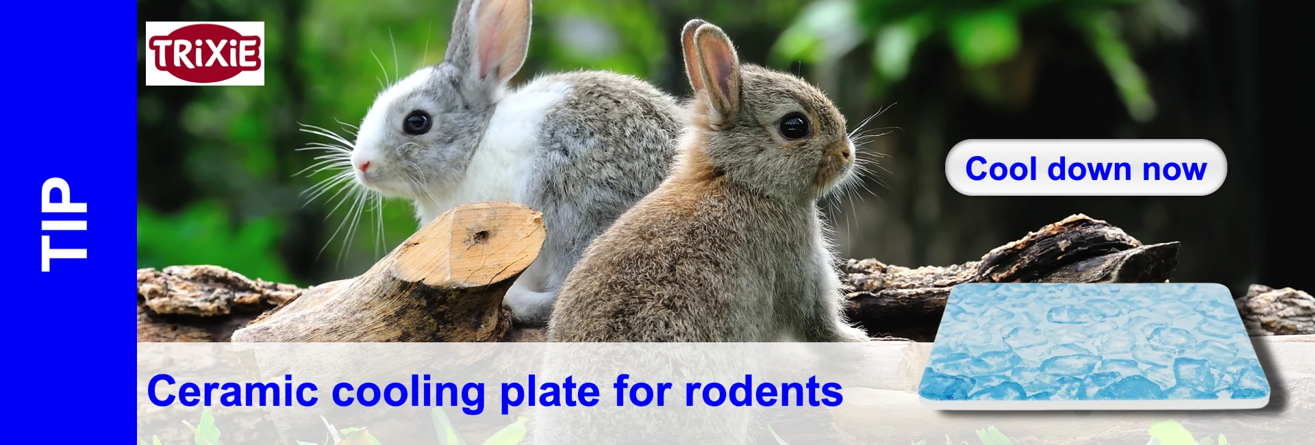 Two rabbits sit next to a piece of wood and a cooling plate. In the background is a blurred green background. Text in the foreground.