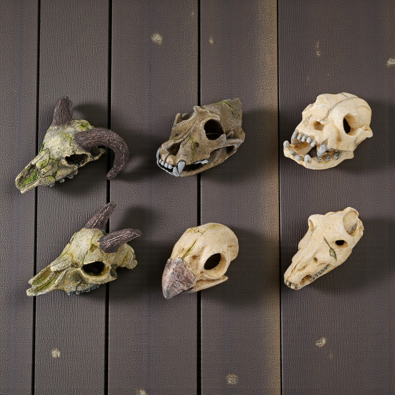 Decor mini animal skull 
