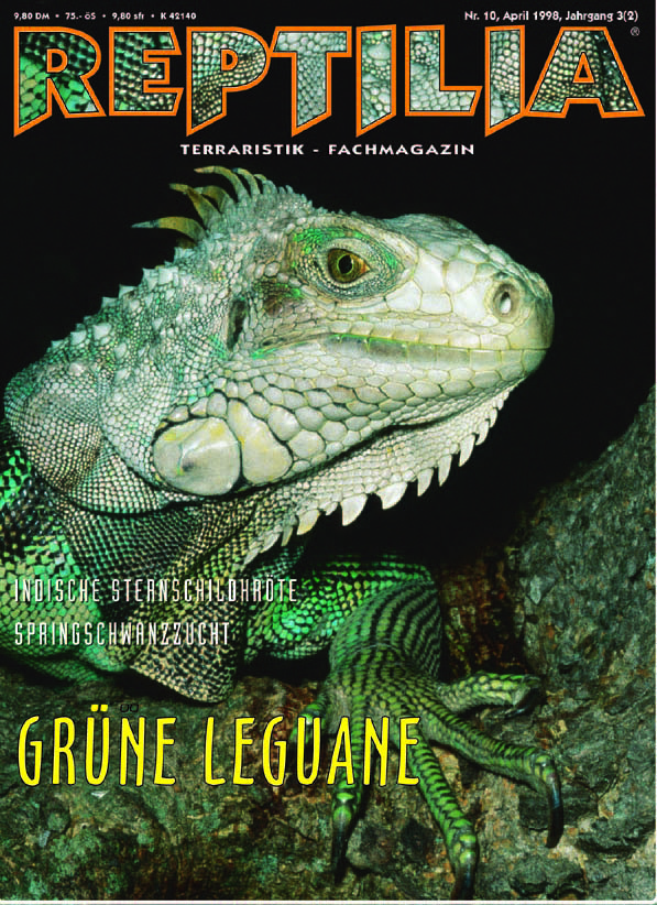 Reptilia 10 - Grüne Leguane