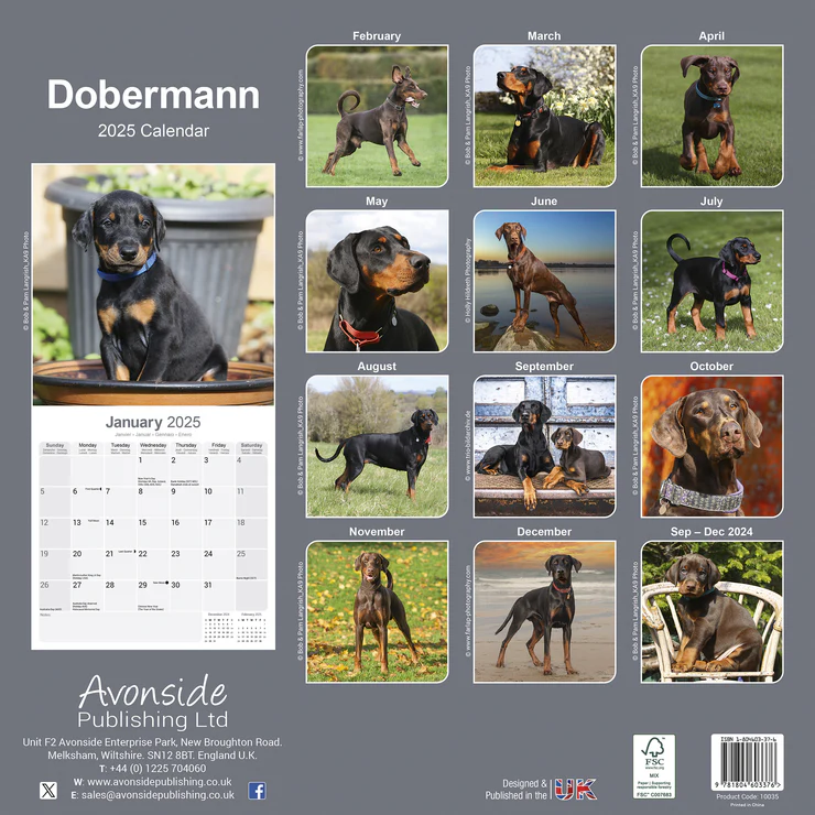 Kalender 2025 Dobermann Kalender 2025 Dobermann