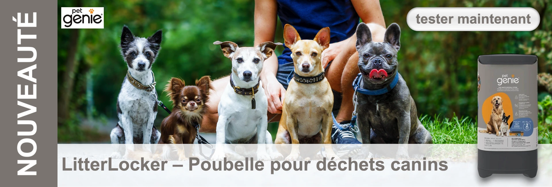 Cinq petits chiens sont assis côte à côte devant une personne. A droite, on voit une poubelle pour chiens.