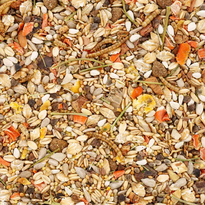 Schweizer Mini-Mix für Jung- und Kleinnager Schweizer Mini-Mix für Jung- und Kleinnager