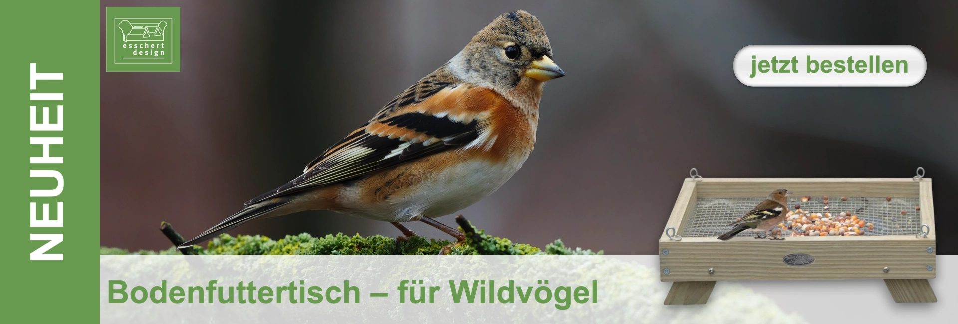 Ein farbenfroher Bergfink mit orangem Gefieder, schwarzen Flügeln und gesprenkeltem Kopf sitzt auf hellgrünem Moos. Rechts unten ist ein hölzerner Bodenfuttertisch für Wildvögel zu sehen, gefüllt mit Vogelfutter, auf dem ein kleiner Fink frisst.