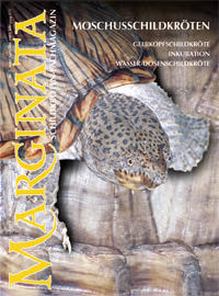 Marginata 05 - Moschusschildkröten