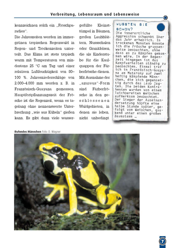 NTV - The dyeing dart frog