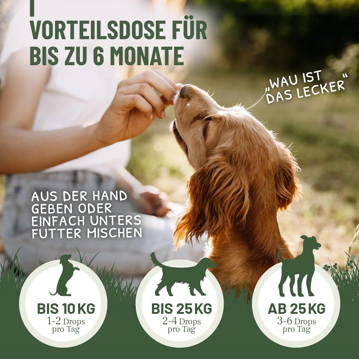 Brauner Hund nimmt ein Leckerli aus der Hand einer Person vor unscharfem grünen Hintergrund. Bild bewirbt "Vorteilsdose für bis zu 6 Monate" und Dosierung: 1-2 Tr. bis 10 kg, 2-4 Tr. bis 25 kg, 3-6 Tr. ab 25 kg.