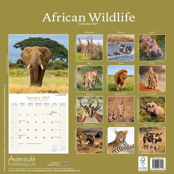Kalender 2027 African Wildlife - Afrikanische Tiere