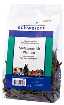 Spitzwegerich