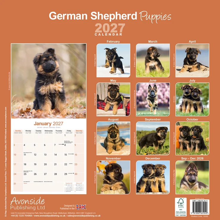 Kalender 2027 Deutscher Schäferhund - Welpe