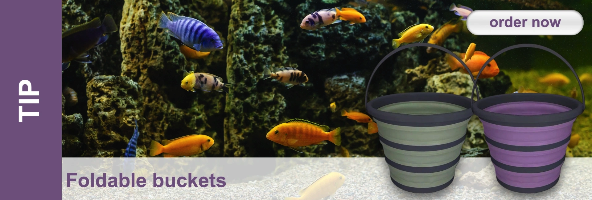 A lively aquarium with colourful fish swimming amongst dark rocks and green plants. A striped blue fish, as well as yellow and orange fish, can be seen. In the foreground on the right are two foldable buckets in green and purple.