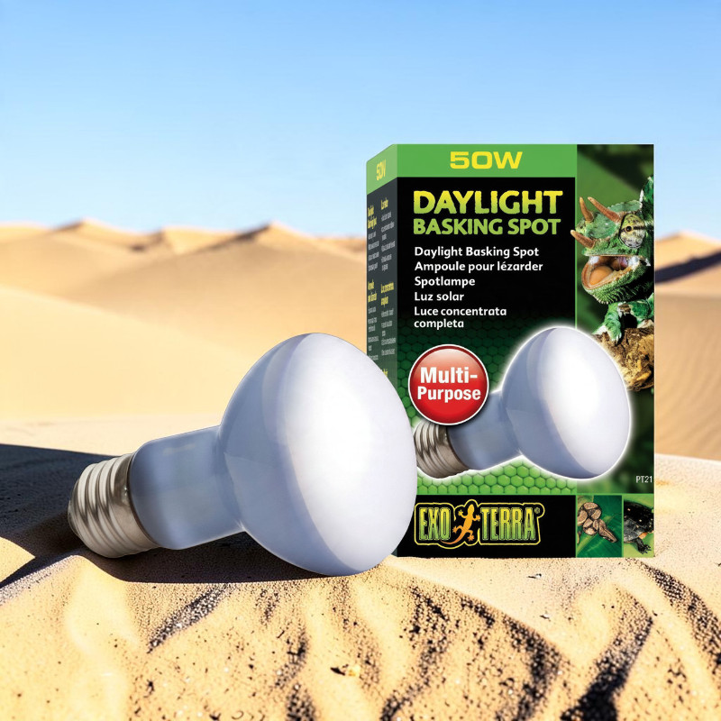 Deux lampes blanches « Exo Terra Daylight Basking Spot » pour terrariums sur du sable. Derrière, emballage vert « 50 W », « Multi-Purpose » et reptile. Lampes chauffantes pour zones au soleil et thermorégulation.