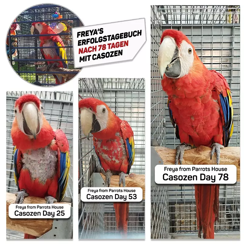 Casozen Tabletten für Vögel