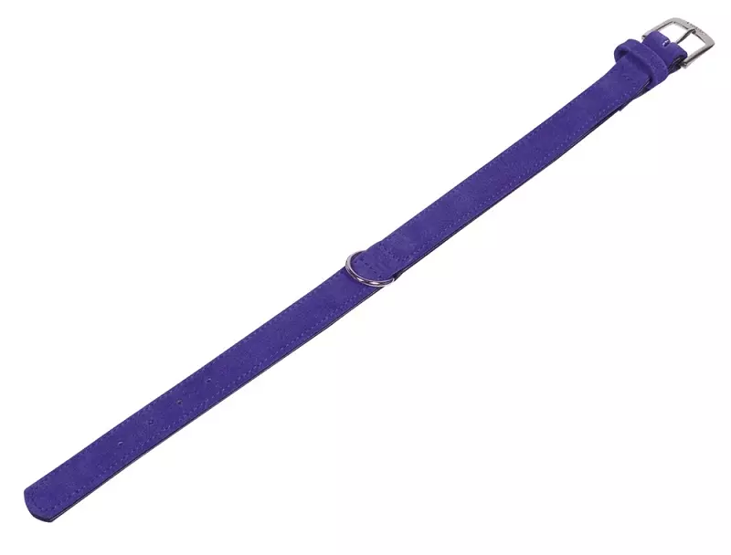 hundehalsband-velours-violett Velours Halsband lila