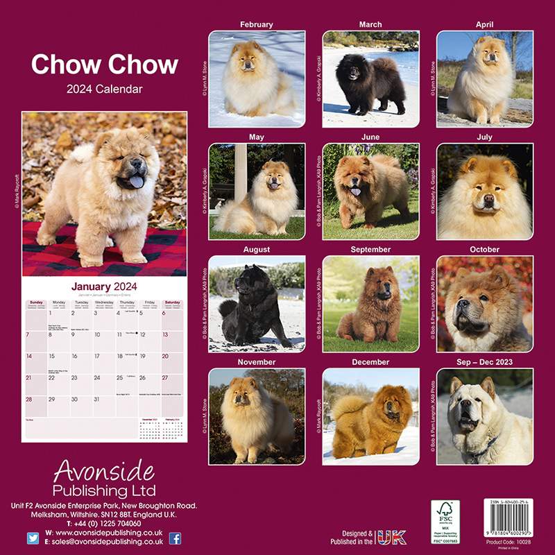 Calendrier 2024 Chow Chow