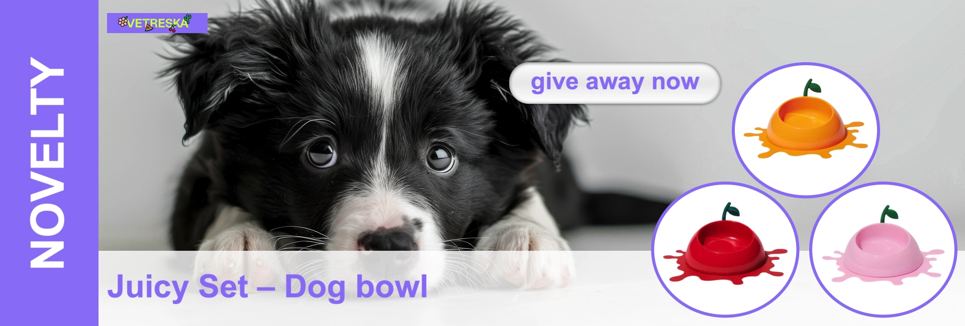 promo-juicy-set-dog-bowls