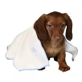 Trixie Puppy Set