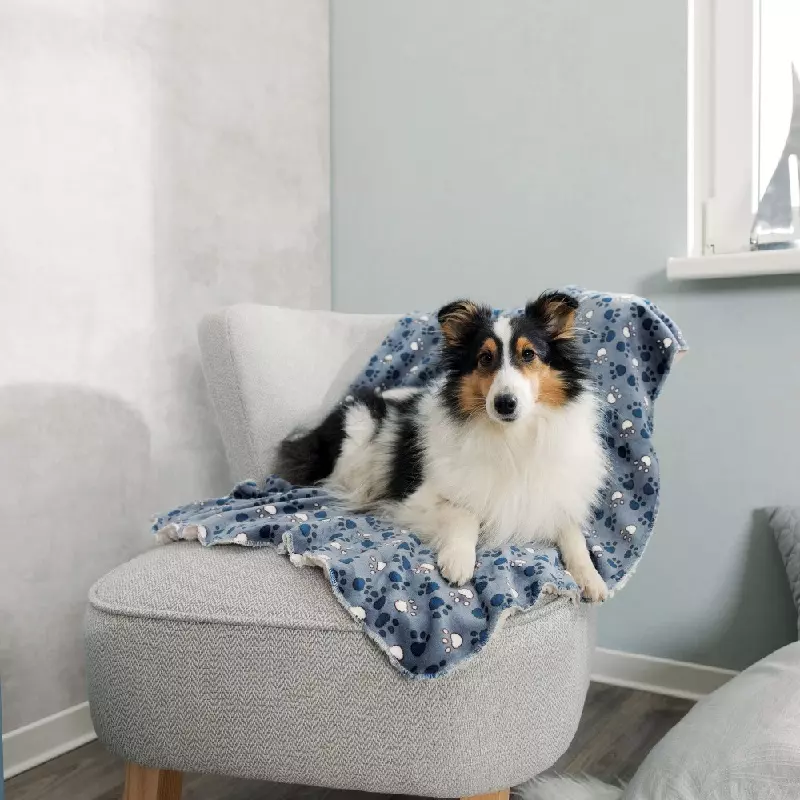 Hundedecke Tammy