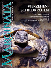 Marginata 06 - Vierzehenschildkröten