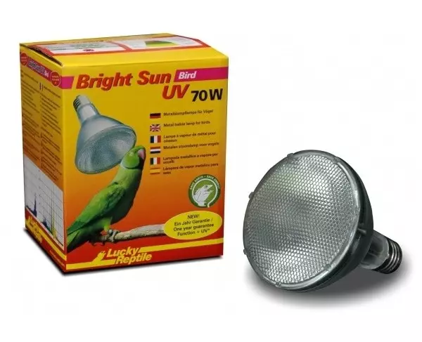 Bird Lamp Lucky Reptile