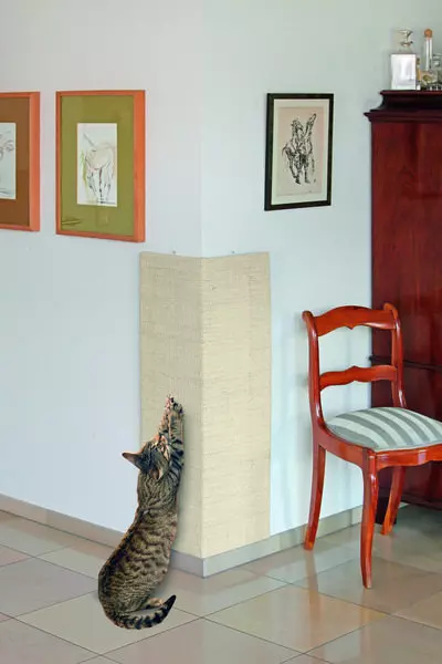 Grattoir 100x56cm