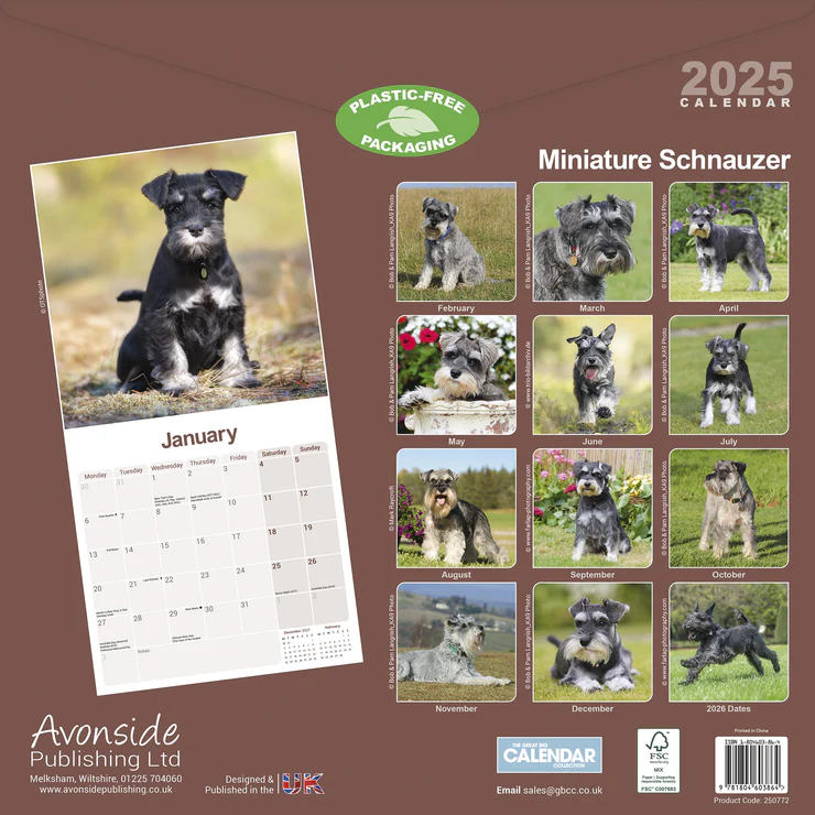 Calendrier 2025 - Miniature Schnauzer Calendrier 2025 - Miniature Schnauzer