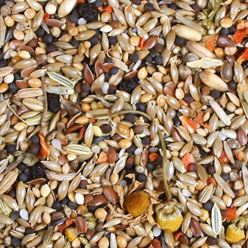 Gros plan sur un mélange de graines pour oiseaux : avoine et millet clairs, colza et fenouil foncés, petites baies noires. Fleurs séchées jaunes (camomille) et morceaux de carottes orange. Granuleux, coloré, tassé.