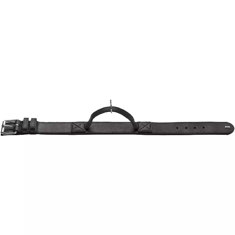 Training collar with handle - Lavik