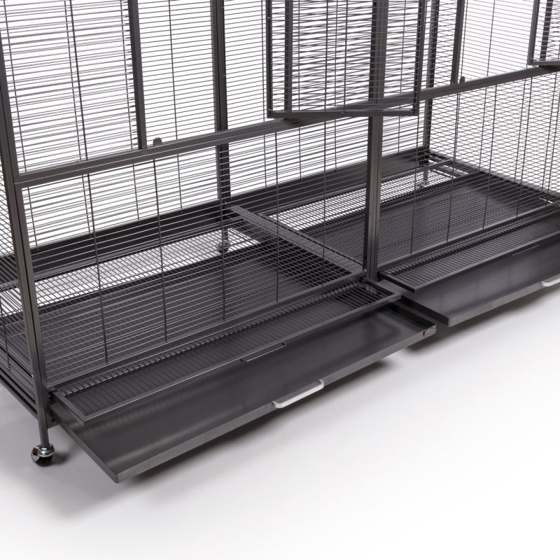 Voliere New Sydney II