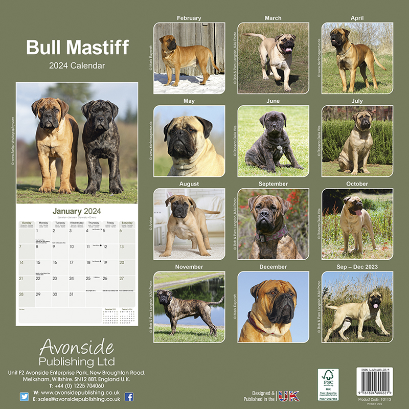 Calendar 2024 Bullmastiff