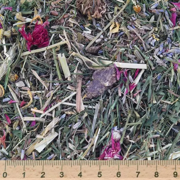 Grünhopper Digestive