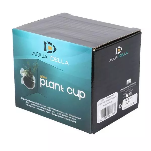 Pot pour plantes au verre