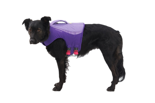 Un chien noir debout porte un gilet de sauvetage violet vif muni d'une poignée dans le dos. Le gilet est doté de deux attaches ventrales roses ; le logo « Ruffwear » est visible sur le côté. Le chien regarde l'appareil photo.