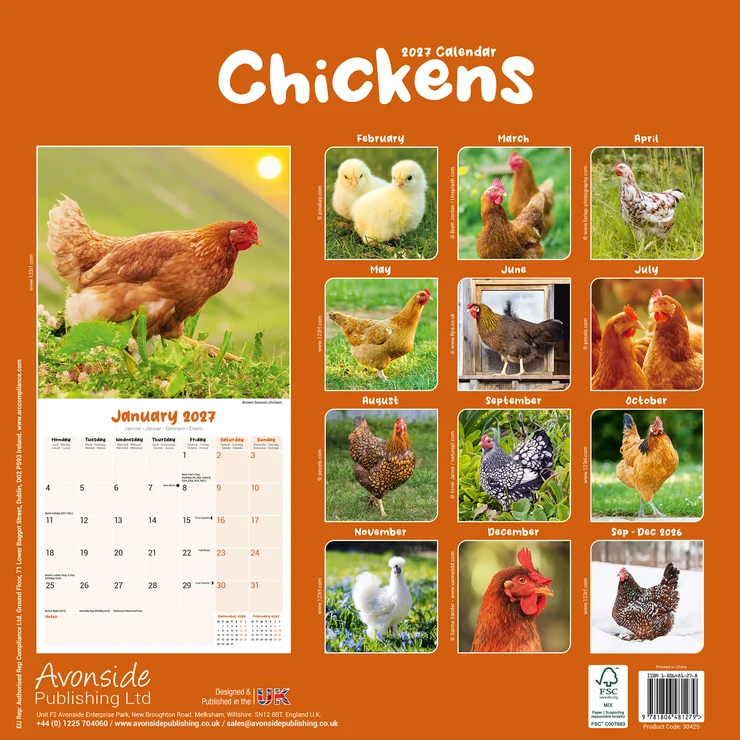 Kalender 2027 Hühner - Huhn - Chickens