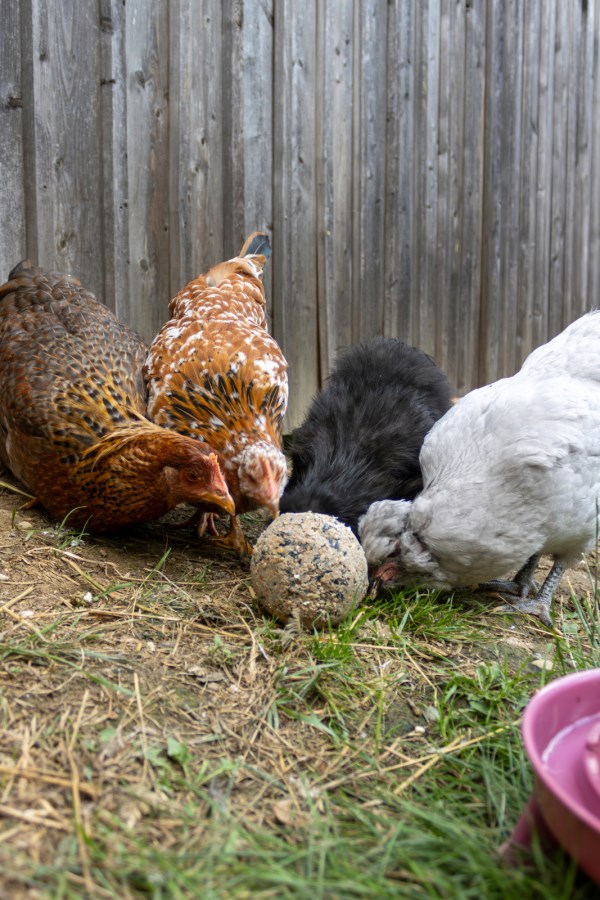 Pick ball - 6 pieces