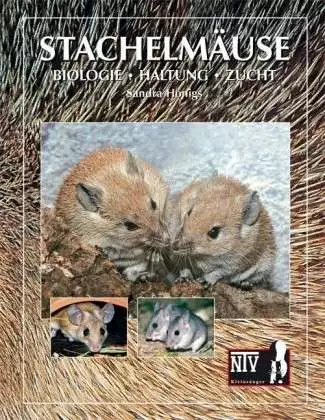 NTV Souris épineuses