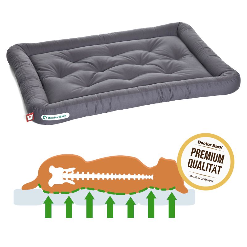 Doctor Bark - Dog cushion gray