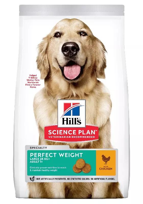 Confezione Hill's Science Plan Cibo per cani di taglia grande Perfect Weight con Golden Retriever e note di pollo.