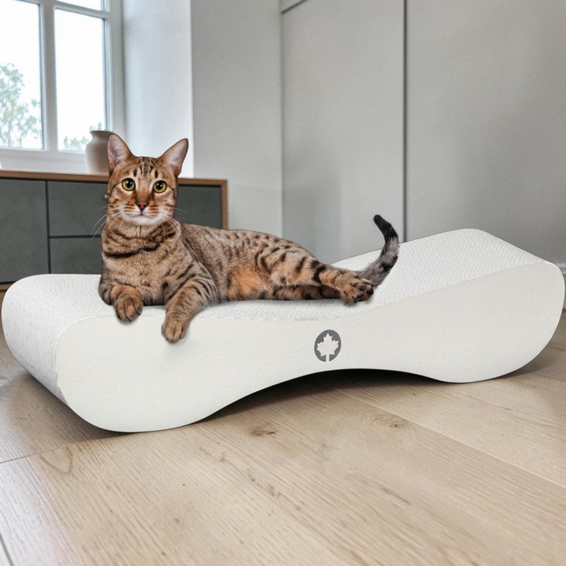 Satellite 2.0 White Edition Scratching Board
