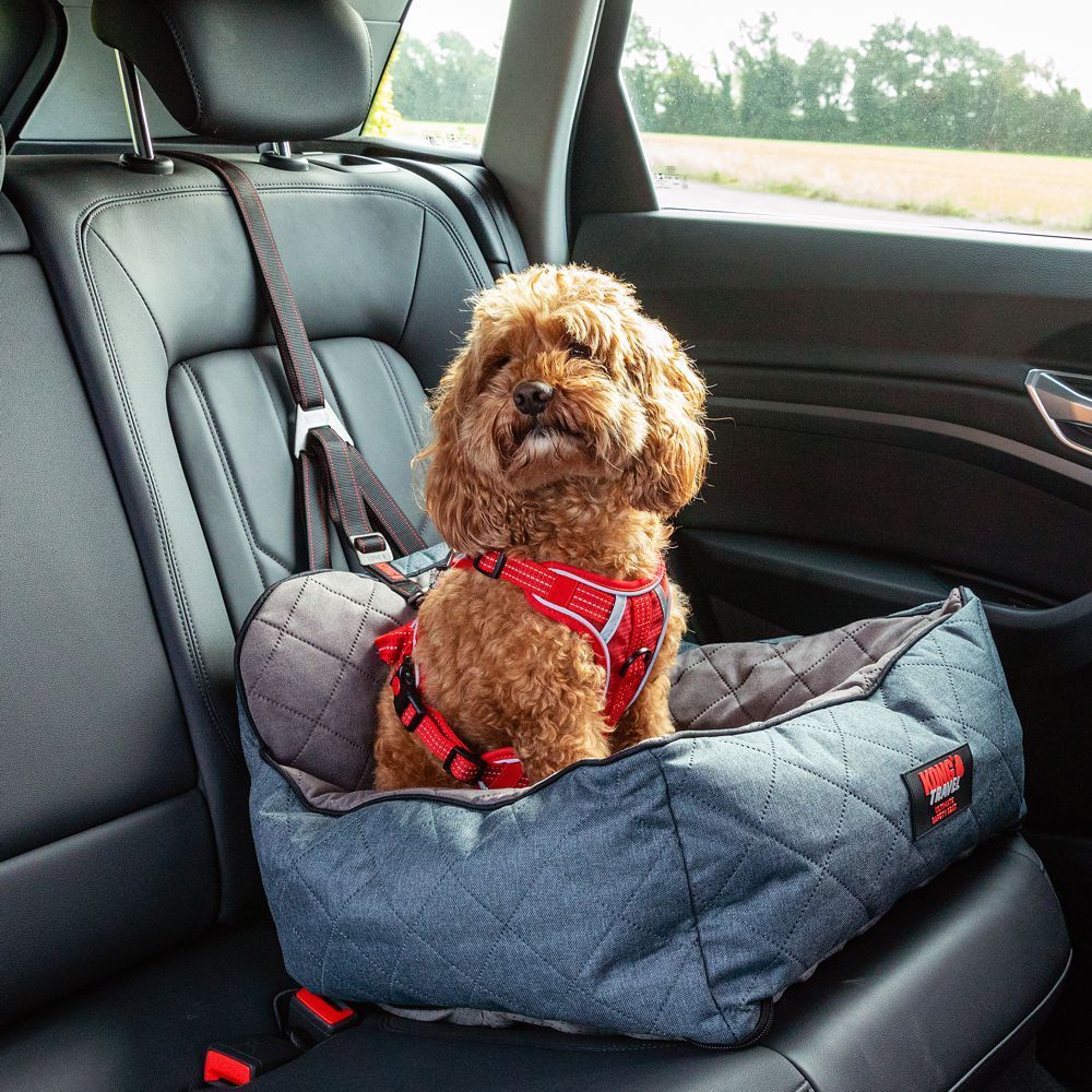 Ein kleiner, lockiger, brauner Hund mit rotem Geschirr sitzt aufrecht in einem grauen, gesteppten Haustier-Autositz auf dem Rücksitz. Er blickt aufmerksam nach oben. Der Sitz ist angeschnallt; draußen sieht man Felder und Bäume.