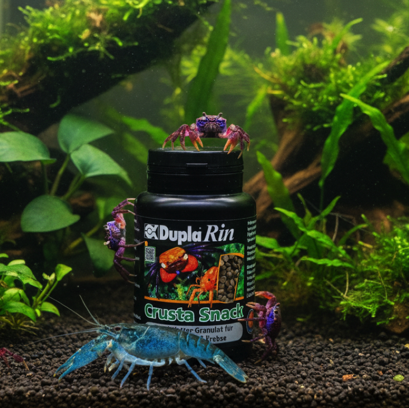 Aquarium-Szene mit DuplaRin Crusta Snack, Krabben auf der Dose und ein blauer Krebs davor, Pflanzen im Hintergrund.