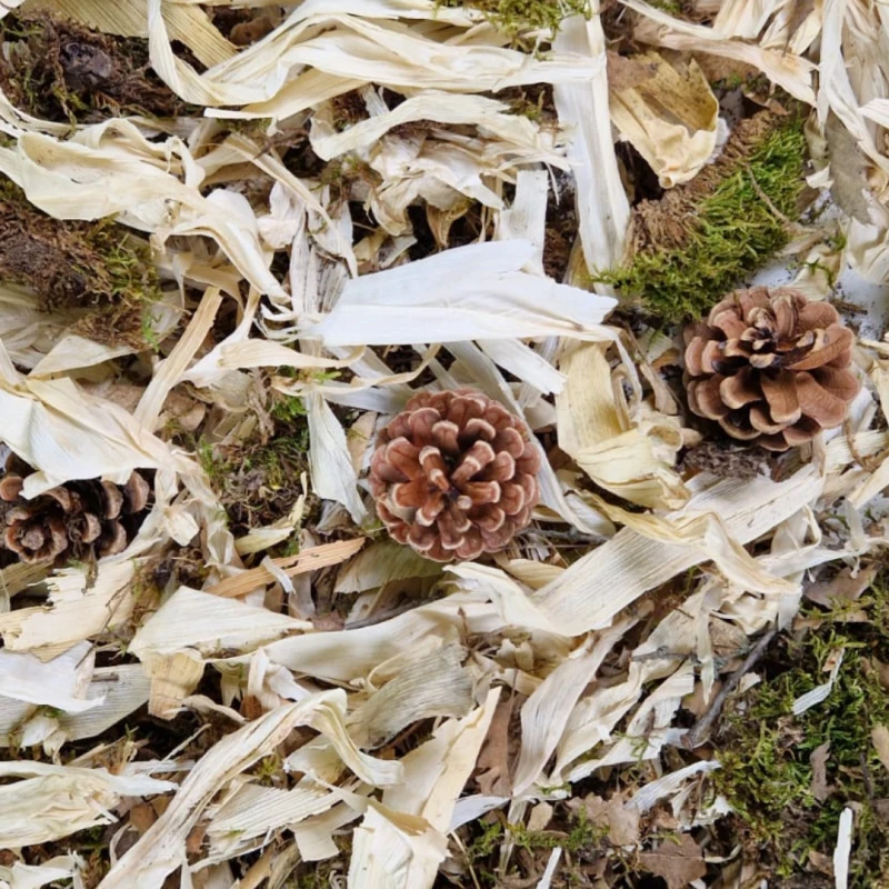 Erlebnis Überstreu - Discover Bedding