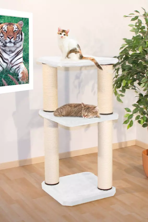 Swisspet Arbre à Chat King Ralph