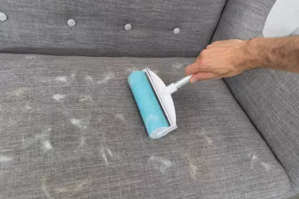 Fusselroller XXL